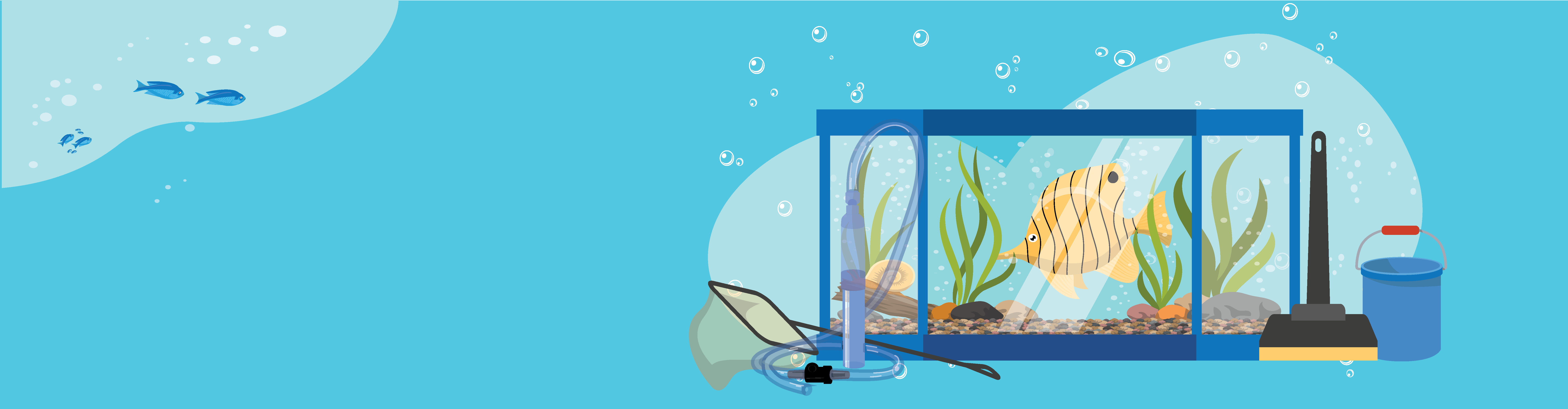 Оказываем услуги по чистке и обслуживанию аквариумов
