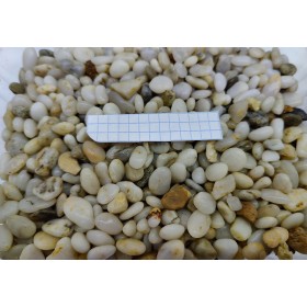 Грунт для аквариума морской жемчужный , 3-5 мм (3кг) купить в магазине Долина Аквариумов