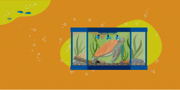 Купить аквариум в интернет магазине недорого в Москве / Долина аквариумов