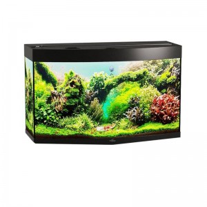 аквариум Биодизайн Панорама 200 купить в магазине Долина Аквариумов
