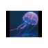 Силиконовая Медуза Большая Фиолетовая 10*20 см (Barbus) купить в магазине Долина Аквариумов - дополнительное фото № 1