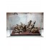 Камень дракон, 290 руб/кг купить в магазине Долина Аквариумов - дополнительное фото № 2