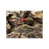 Камень дракон, 290 руб/кг купить в магазине Долина Аквариумов - дополнительное фото № 4